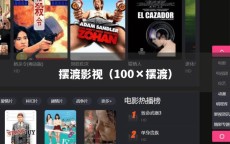摆渡影视（100×摆渡）