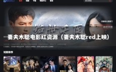 妻夫木聪电影红资源（妻夫木聪red上映）