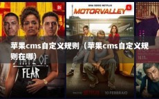 苹果cms自定义规则（苹果cms自定义规则在哪）