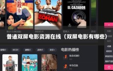 普通双屏电影资源在线（双屏电影有哪些）