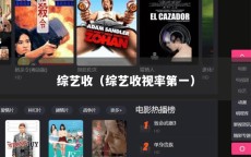 综艺收（综艺收视率第一）