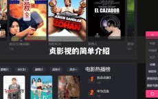 贞影视的简单介绍