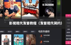 影视现代发簪教程（发簪现代简约）