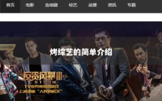 烤综艺的简单介绍