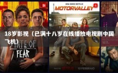 18岁影视（已满十八岁在线播放电视剧中国飞机）