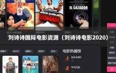 刘诗诗国际电影资源（刘诗诗电影2020）