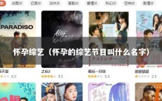 怀孕综艺（怀孕的综艺节目叫什么名字）